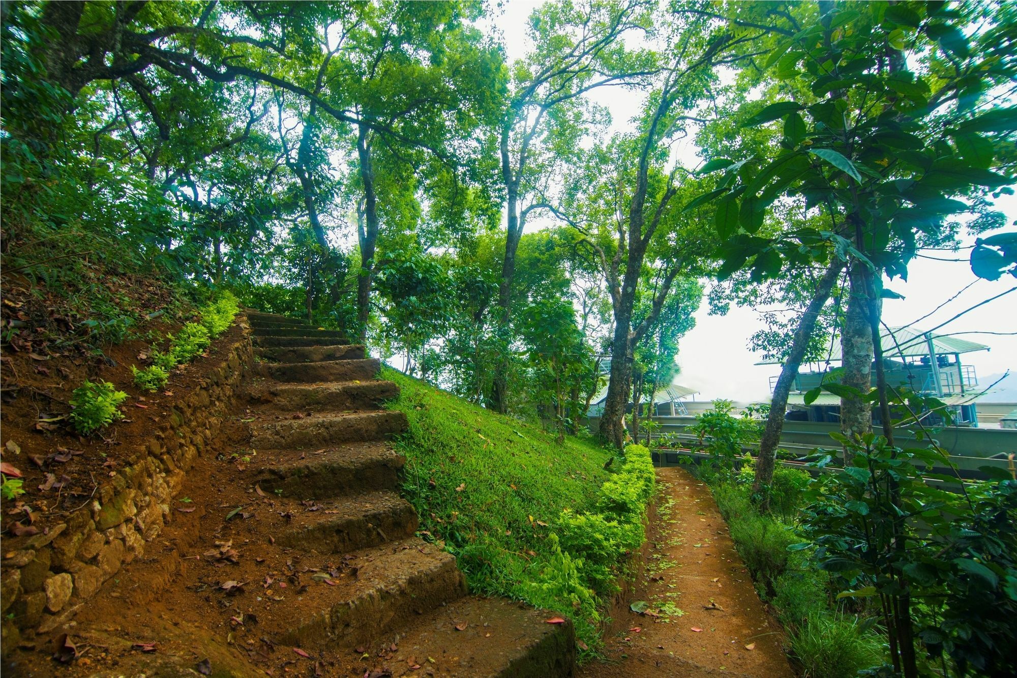 Forest Glade Resorts Chithirapuram Exteriér fotografie