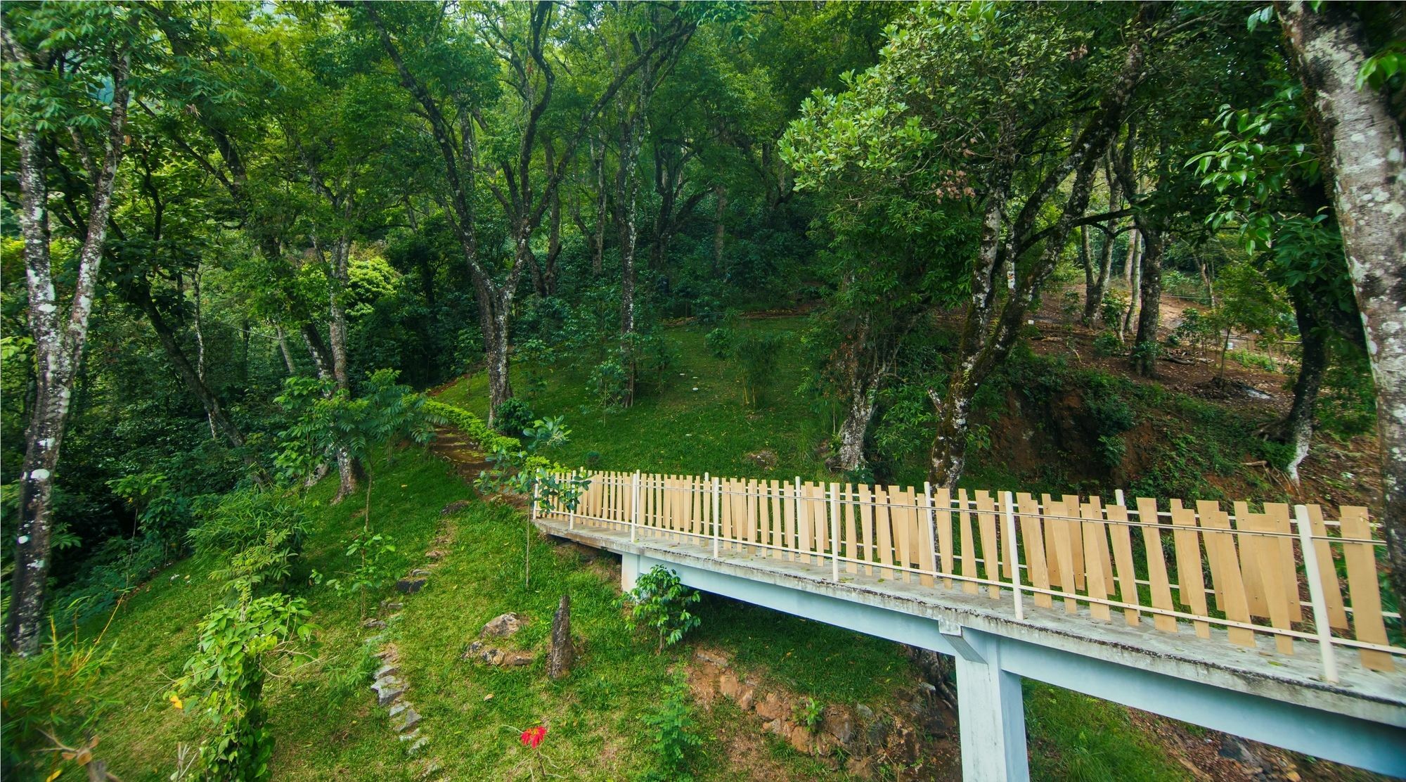 Forest Glade Resorts Chithirapuram Exteriér fotografie
